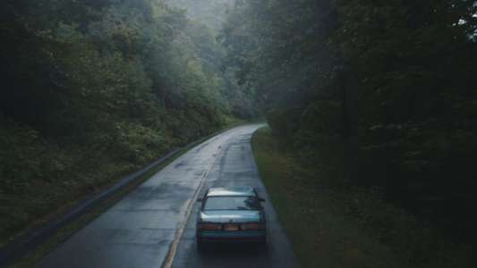 Blue Ruin - Backdrop