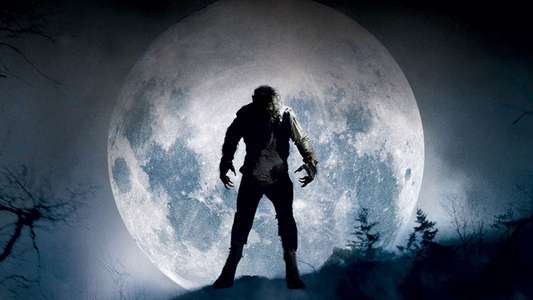 The Wolfman - Backdrop