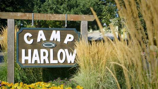 Camp Harlow - Backdrop