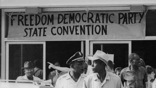 Freedom Summer - Backdrop