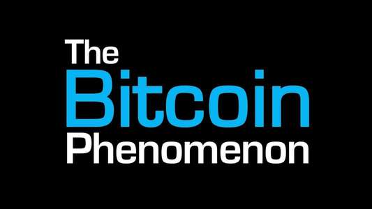 The Bitcoin Phenomenon - Backdrop