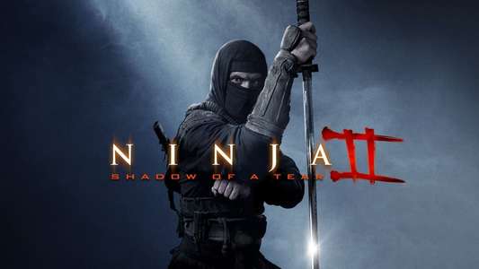 Ninja: Shadow of a Tear - Backdrops