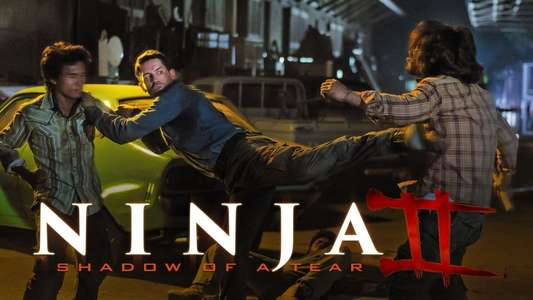 Ninja: Shadow of a Tear - Backdrops