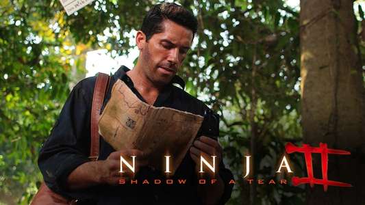 Ninja: Shadow of a Tear - Backdrops