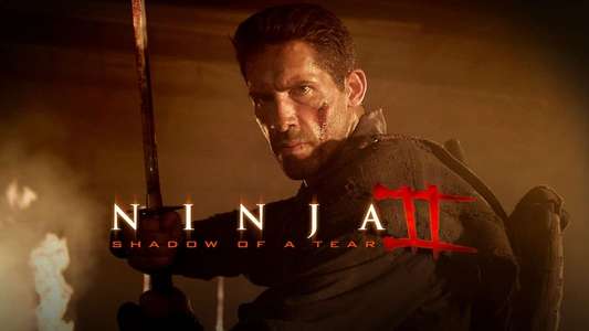 Ninja: Shadow of a Tear - Backdrops
