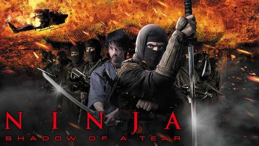 Ninja: Shadow of a Tear - Backdrops