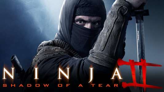 Ninja: Shadow of a Tear - Backdrops