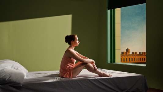 Shirley: Visions of Reality - Backdrop