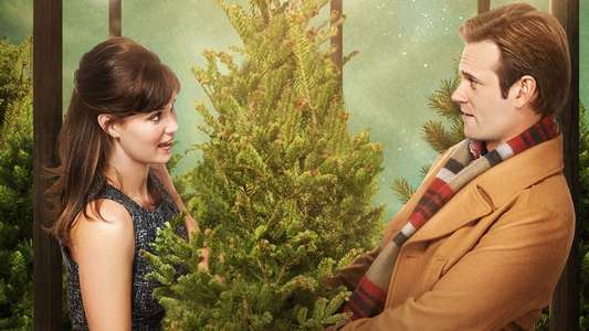 Fir Crazy - Backdrop