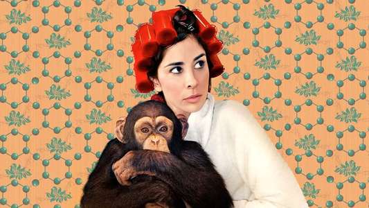 Sarah Silverman: We Are Miracles - Backdrop