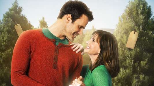 The Christmas Ornament - Backdrop