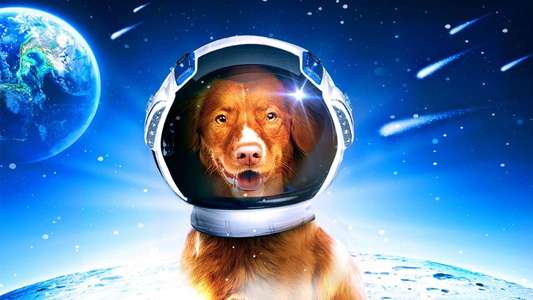 My Dog the Space Traveler - Backdrop