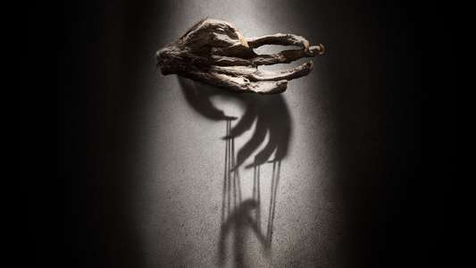 The Monkey's Paw - Backdrop