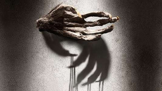 The Monkey's Paw - Backdrop