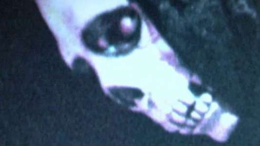 Mortal Remains - Backdrop