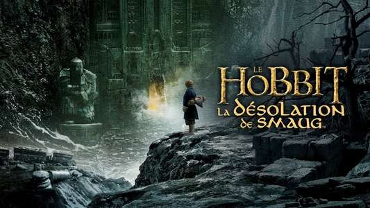 The Hobbit: The Desolation of Smaug - Backdrop