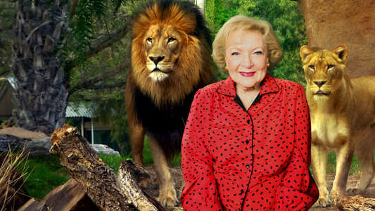 Betty White Goes Wild - Backdrop