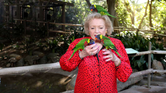 Betty White Goes Wild - Backdrop
