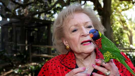 Betty White Goes Wild - Backdrop