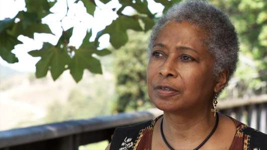 Alice Walker: Beauty in Truth - Backdrop