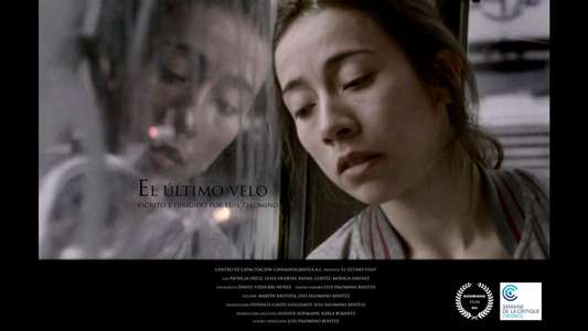 The Last Veil - Backdrop