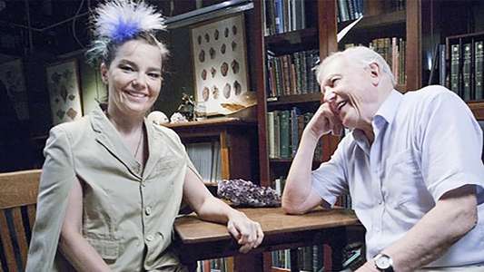 When Bjork Met Attenborough - Backdrop