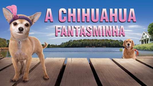 Chihuahua too! - Backdrop