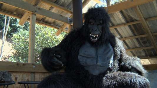 Monster of the Nudist Colony - Backdrop