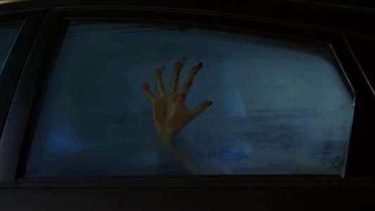 Contracted - Backdrop