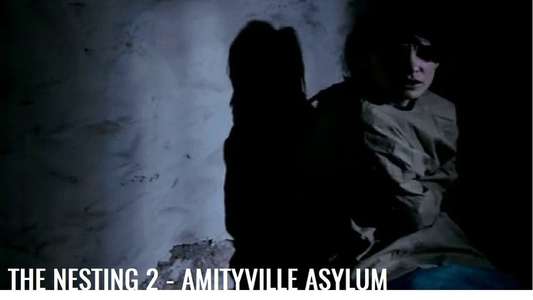 The Amityville Asylum - Backdrop