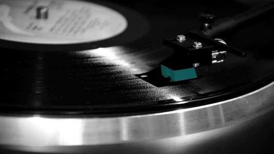 Our Vinyl Weighs a Ton: This Is Stones Throw Records - Backdrop