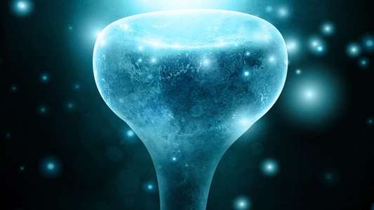 Neurons to Nirvana - Backdrop