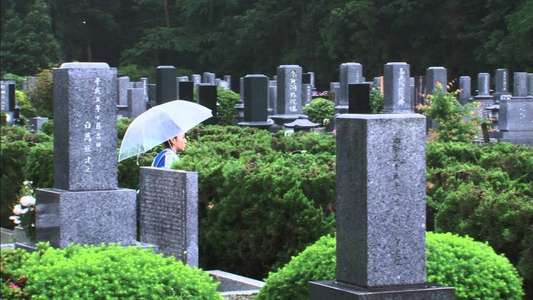 Bokura wa aruku  tada soredake - Backdrop