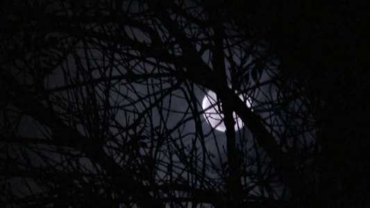Crystal Lake Memories: The Complete History of Friday the 13th - Backdrop