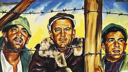 Stalag 17 - Backdrop