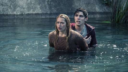 Warm Bodies - Backdrop