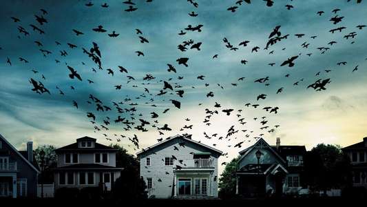 Dark Skies - Backdrop
