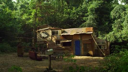 The Kings of Summer - Backdrop