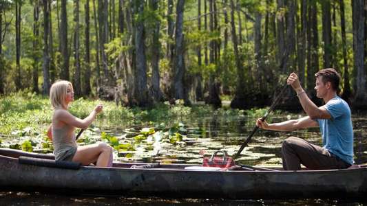 Safe Haven - Backdrop