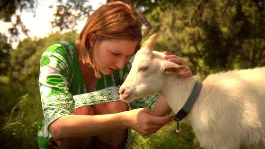 Artois the Goat - Backdrop
