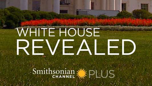 White House Revealed - Backdrop
