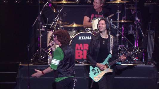 Mr. Big: Back to Budokan - Backdrop