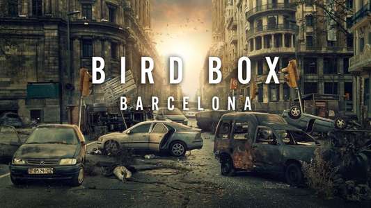 Bird Box Barcelona - Backdrop