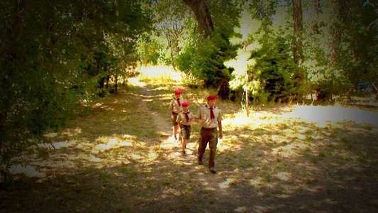 Scout Camp - Backdrop