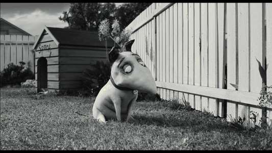 Miniatures in Motion: Bringing Frankenweenie to Life - Backdrop