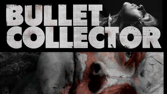 Bullet Collector - Backdrop