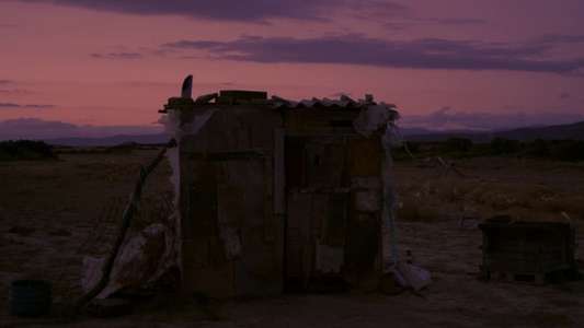 Cholera - Backdrop