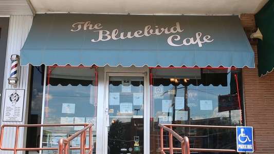 Bluebird - Backdrop