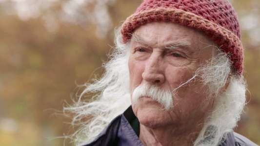 David Crosby: Remember My Name - Backdrop
