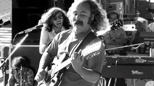 David Crosby: Remember My Name - Backdrop